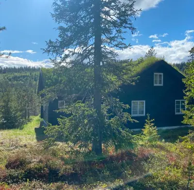 a black house with a tree in front of it at Cabin By Trillemarka Nature Reserve in Eiddal