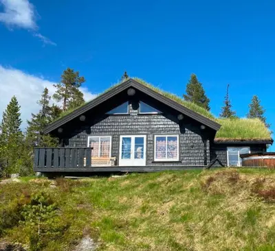 a house with a grass roof on top of a hill at Cabin By Trillemarka Nature Reserve in Eiddal