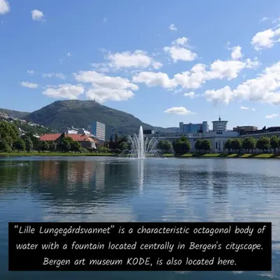 agovernmental body of water with a fountain located centrally in beijinglezlezlez at Spacious, central 3 BR house with parking in Bergen