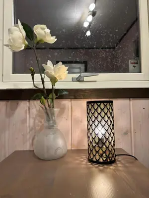 a vase with white flowers sitting on a table at Koselig rom i studentfelleskap