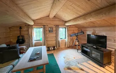 a living room with a couch and a television in a cabin at Lovely Home In Sjusjøen With Sauna in Sjusjøen
