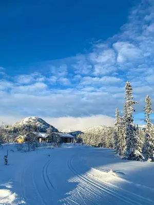 a snow covered field with a house in the distance at Modern Family Cabin By The Ski Trail In Tuddal in Tuddal