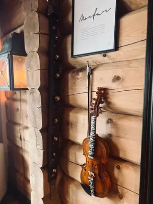 a violin hanging on a wall next to a lamp at Cabin in Kvamskogen in Kvam
