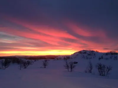 a sunset over a snowy field with trees in the foreground at Skarslia Apartment in Skarsgård