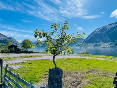 a tree growing out of a stump next to a fence at JOlster apartaments - lake view in Årdal