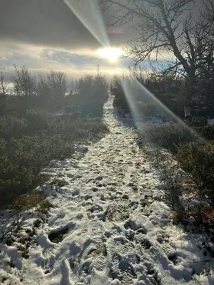 a snow covered path with the sun in the background at Newly Built Log Cabin Near Hardangervidda in Geilo