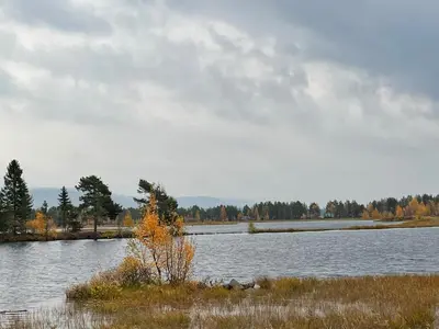 a body of water with a tree in the middle at Cozy year-round cabin with sauna at Furutangen in Åmot