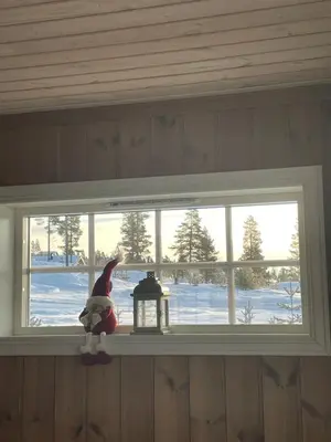 a window with a stuffed animal sitting on a window sill at Cozy year-round cabin with sauna at Furutangen in Åmot