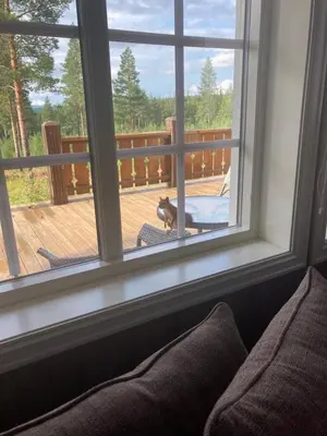 a dog looking out of a window at a deck at Cozy year-round cabin with sauna at Furutangen in Åmot