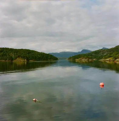 a view of a lake with trees on the shore at Kyn Sjøstuer in Stavang