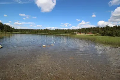 a large body of water with trees in the background at Mountain Lodge - Midtgardstunet in Ringebu