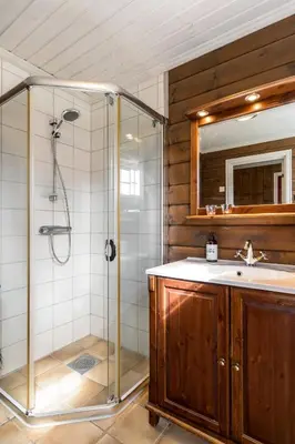 a bathroom with a shower and a sink at Fjellkos, mountain cabin in Gol in Gol