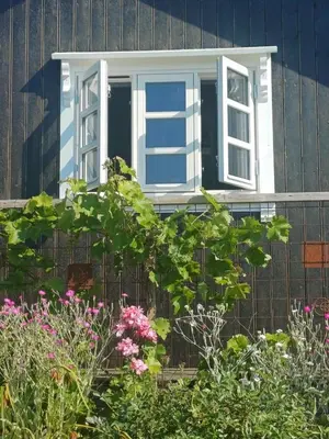 a window on the side of a house with flowers at Lovely tiny house with a dream view !