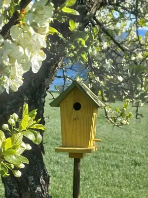 a bird house sitting on top of a tree at Lovely tiny house with a dream view !