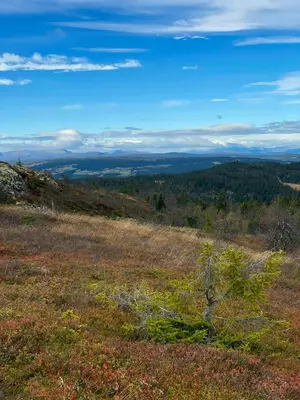 a view from the top of a hill at Family-Friendly Seter Cabin Near Makalaus Peak in Reinli