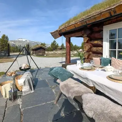 Modern Hand-Crafted Log Cabin