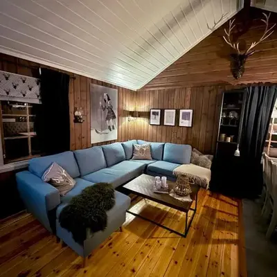 Utibakken - cabin ski inn-out Norefjell