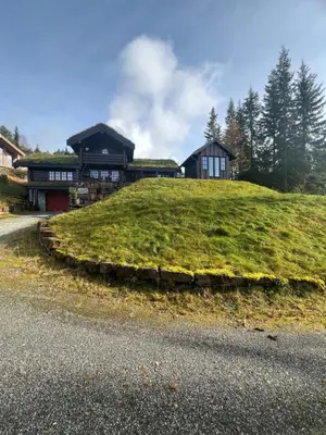 a house on top of a grassy hill at Cabin in Kvamskogen in Kvam