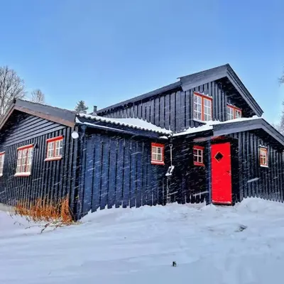 Trivelig og romslig hytte nær Røros