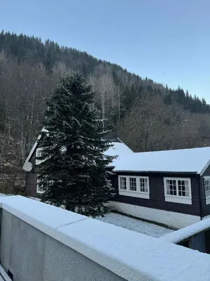 a house with a pine tree in the snow at Lake Resort - Pool & Sauna in Vossevangen