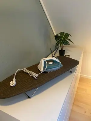 a blue phone sitting on a shelf with a plant at Art Nouveau in the middle of downtown Ålesund in Ålesund