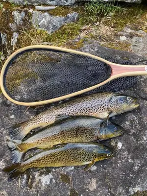 two fish sitting on a rock with a paddle at Opplev Den Unike Stemningen På Golsfjellet in Gol