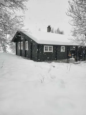 a house is covered in snow in a yard at Bjorlicabin in Bjorli