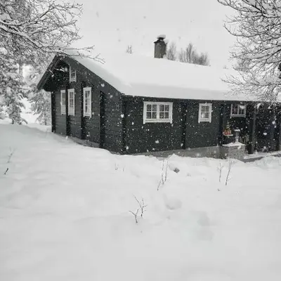 Bjorlicabin