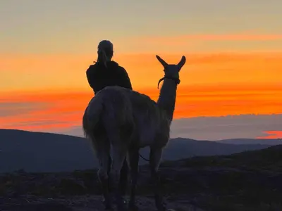 a man riding a camel on top of a hill at Hessdalen Ufocamp in Vårhus