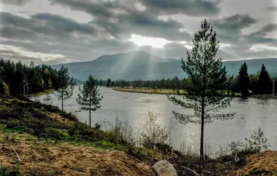 a river with trees on the side of it at 4 Bedroom Nice Home In Trysil in Trysil