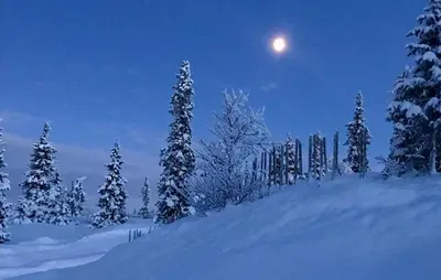a full moon rising over a snow covered forest at night at 4 Bedroom Pet Friendly Home In Svingvoll in Svingvoll