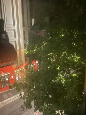 a tree in front of a building with a train at Central, charming, 1800s apartment in Lii