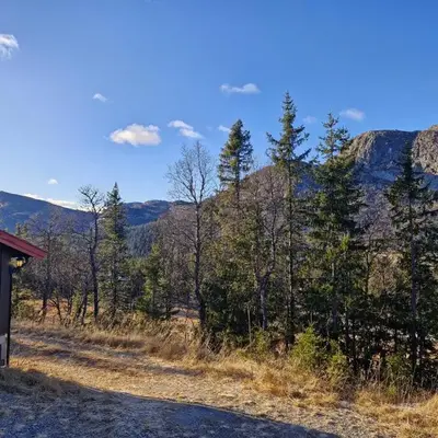 Fjellvang