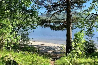 a beach with a tree and the water at Unique Nature Hideaway Close to Norefjell