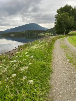 a dirt road next to a river with flowers at Holmøy Lodge in Holmøyane