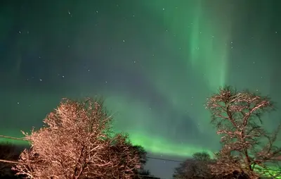 an aurora in the sky with trees in the foreground at Cozy Home In Stongfjorden With House Sea View in Stongfjorden