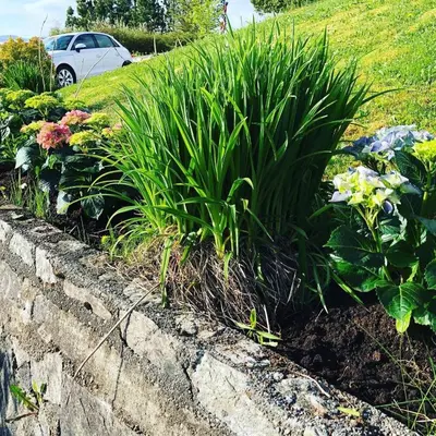 a garden with a retaining wall and some plants at House with oceanview, 4 bedrooms, close to Bergen in Alversund
