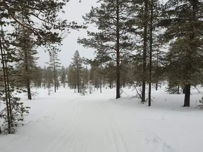 a snow covered road in a forest with trees at 8 person holiday home in Jordet in Jordet