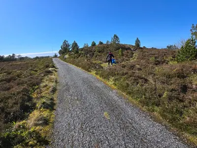 a person walking down a gravel road on a hill at Apartament Vigra Fjord in Synes