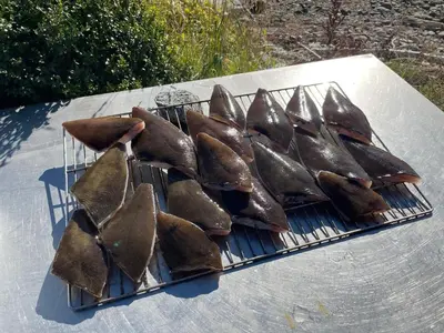 a bunch of fish are cooking on a grill at 4 person holiday home in Eidsvåg in Eidsvåg