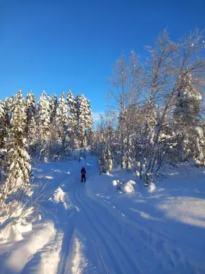 a person is skiing down a snow covered trail at Krøderen Laftet tømmerstue fra 2021