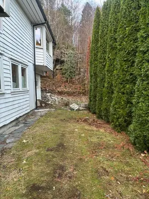 a yard next to a house with a large hedge at Family friendly apartment with parking in Bergen