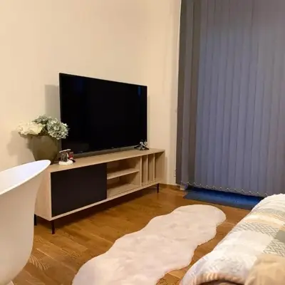 Modern apartment near Oslo