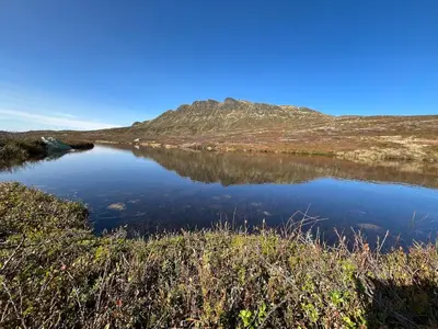 a body of water in the middle of a field at Cozy family cabin with fireplace and near ski trails in Lii