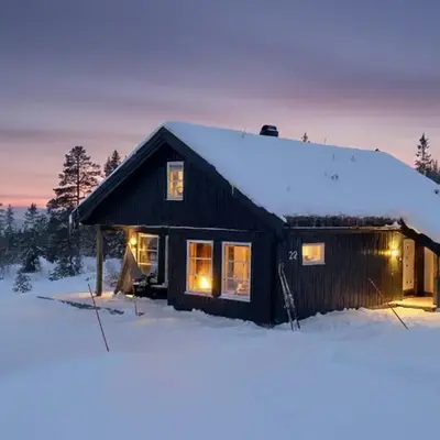 Cozy family cabin with fireplace and near ski trails