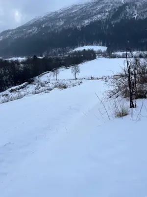 a snow covered field with trees and mountains in the background at Bestemorhuset in Øye