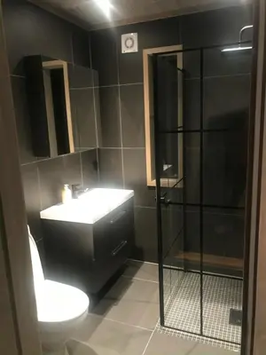 a bathroom with a toilet and a sink and a shower at Modern cabin in Rauland with Panorama view in Torvetjørn