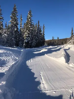 a road covered in snow with trees in the background at Modern and cozy cabin near ski slopes in Beitostøl