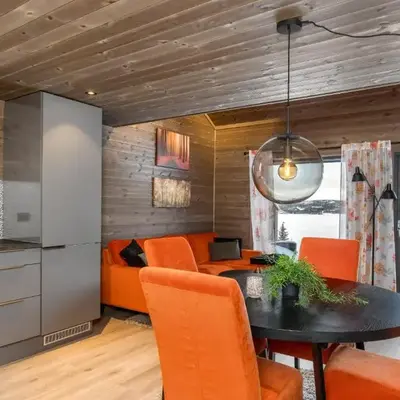 Modern apartment in Golsfjellet