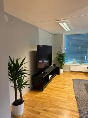 a living room with a flat screen tv and potted plants at Modern apartment in central Trondheim in Trondheim